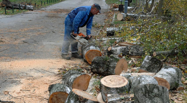 Preko oglasa i interneta drva se mogu naći po cijeni od 80 do 90 KM