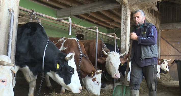 Bolje ratar kod kuće, nego vozač u Sloveniji