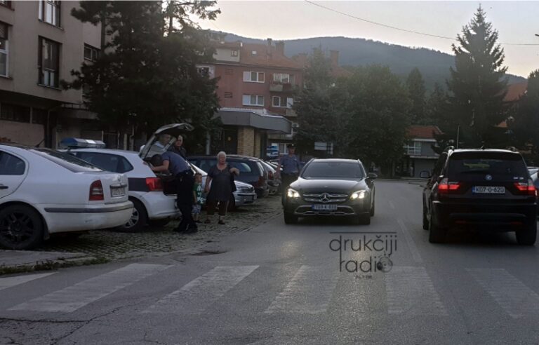 BiH: Tokom vožnje ga ugrizao stršljen, pa “pokupio” parkirane automobile