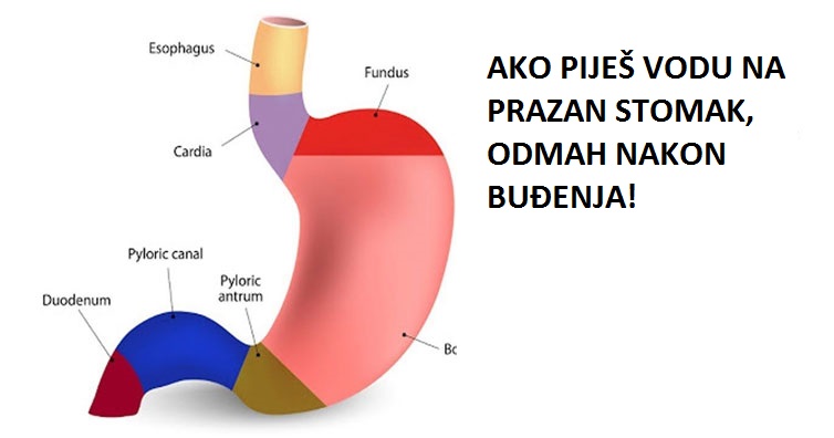 Ako pijete vodu na prazan stomak odmah nakon buđenja