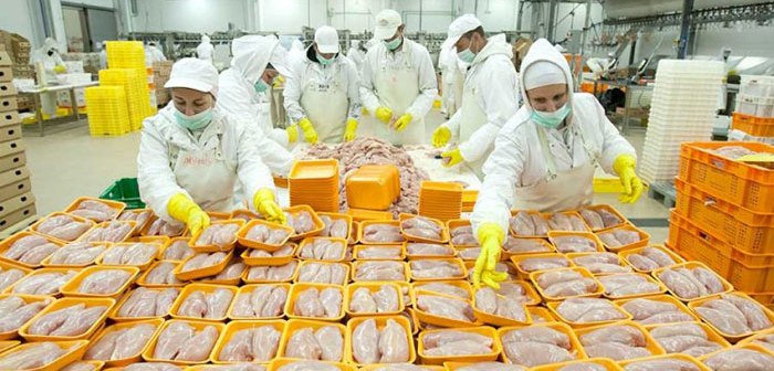 BiH izvezla 19,5 tona piletine u EU