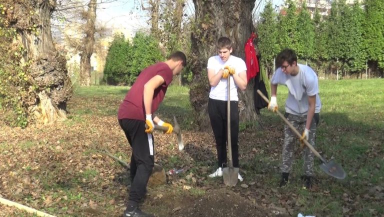 Mladi zenički aktivisti u okviru projekta “Djeluj ekoistično” zasadili sadnice jasena