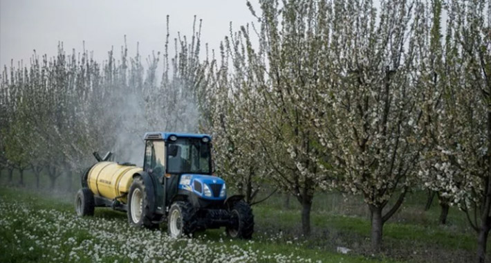 EU zabranjuje uvozno voće tretirano insekticidom klorpirifosom